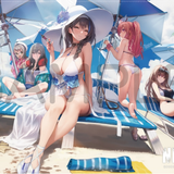 勝利の女神:NIKKE クリアポスター -summer- 集合柄(透明膠Poster)※不設寄送《23年8月預定》