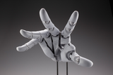 【再販】ARTIST SUPPORT ITEM ハンドモデル/R -GRAY-※不設寄送《25年9月預定》 日版 全數$658 / ※不設寄送 / 25年5月5日
