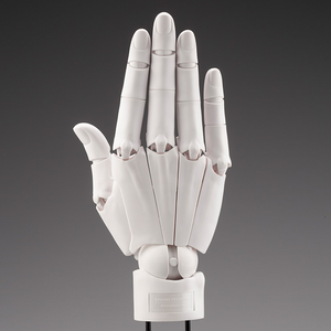 【再販】ARTIST SUPPORT ITEM ハンドモデル/R -WHITE-※不設寄送《25年9月預定》 日版 全數$658 / ※不設寄送 / 25年5月5日
