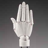 【再販】ARTIST SUPPORT ITEM ハンドモデル/R -WHITE-※不設寄送《25年9月預定》 日版 全數$658 / ※不設寄送 / 25年5月5日