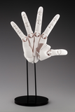 【再販】ARTIST SUPPORT ITEM ハンドモデル/R -WHITE-※不設寄送《25年9月預定》 日版 全數$658 / ※不設寄送 / 25年5月5日